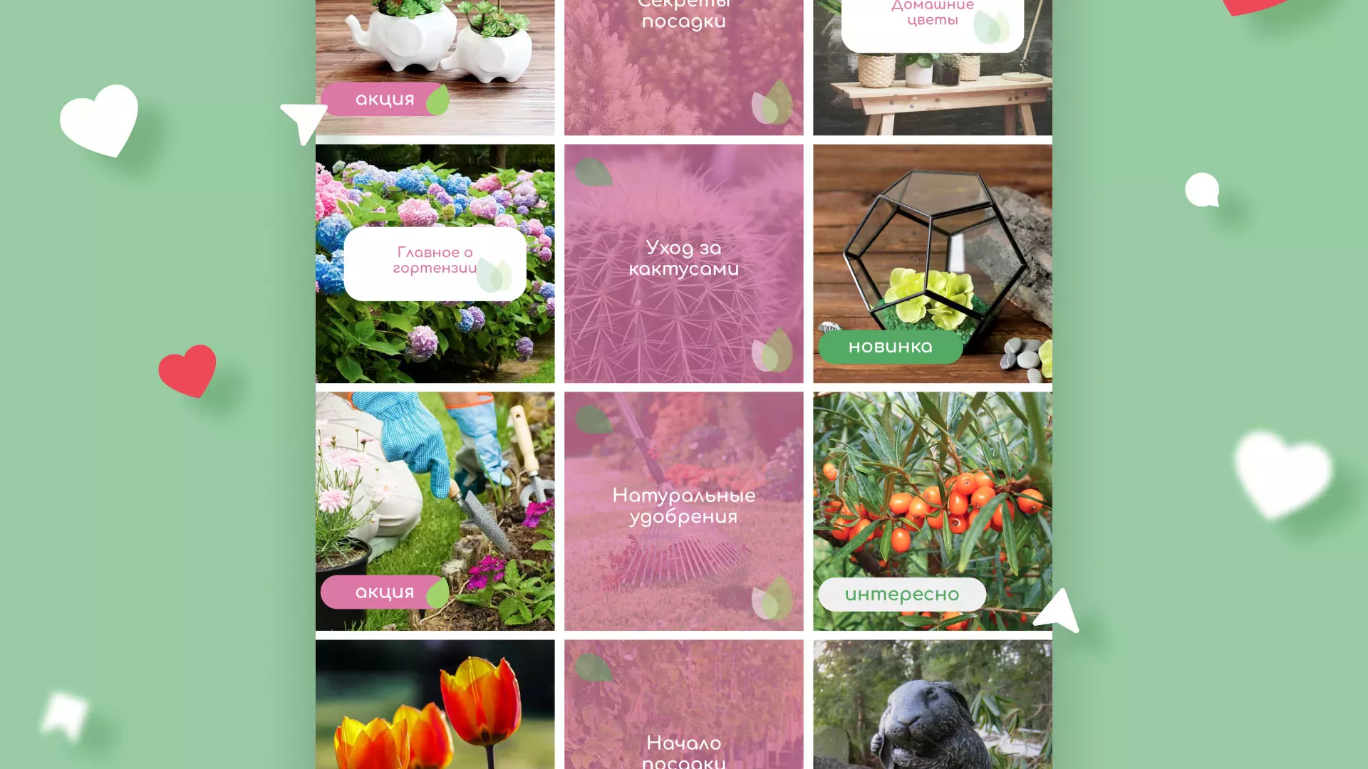 Разработка оформления профиля Instagram для магазина «Floraint» в Печоре